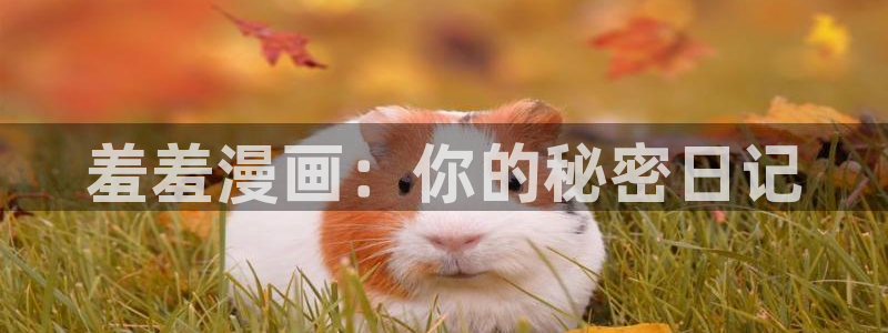omofun(动漫共和国)