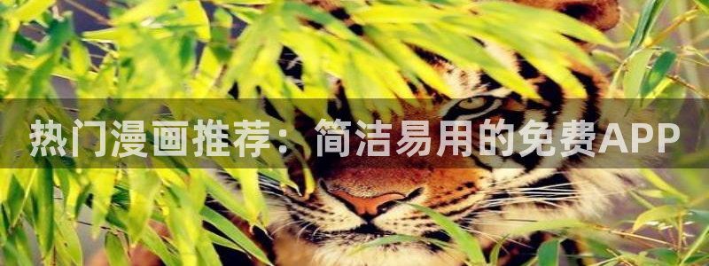 www.omofun.