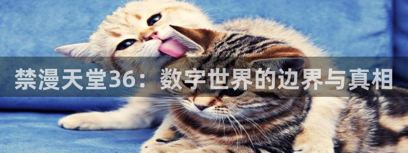 omofun官方版下载