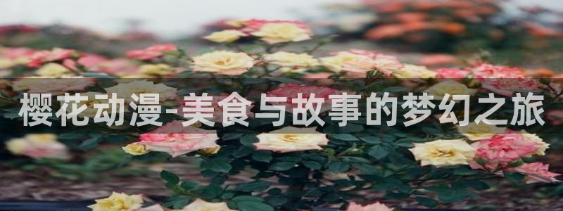 动漫omofun