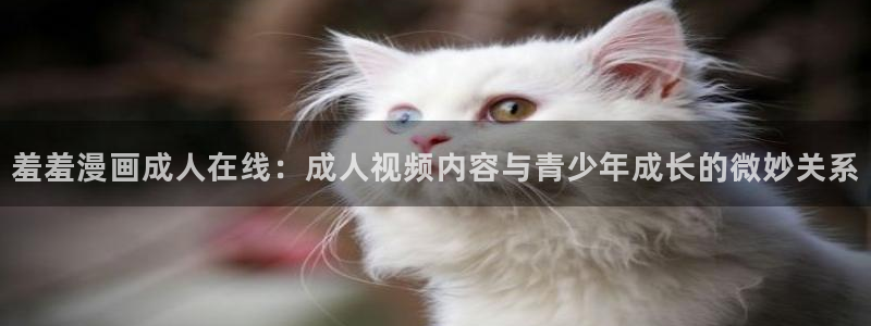 omofun怎么下