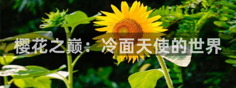 omofun正版官方链接