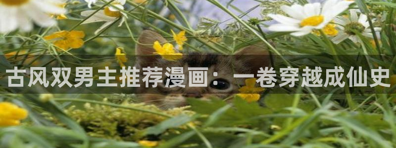 omofun网站网页版