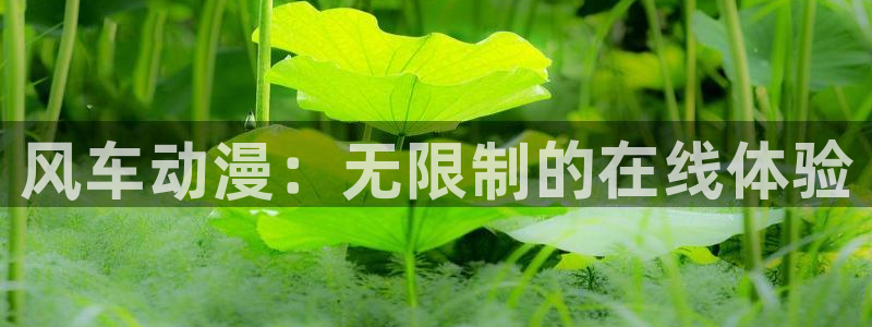 omofun网页