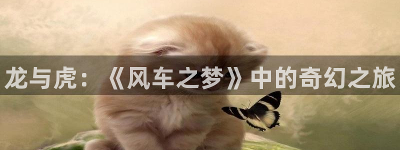 omofun 在线观看